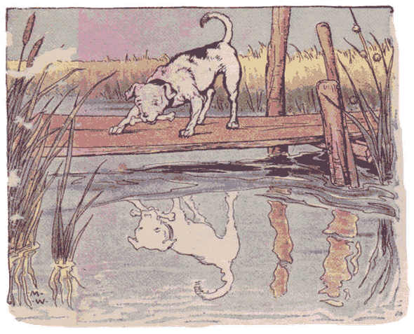 Why I’m No Longer a Libertarian