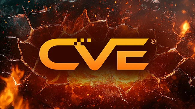 CISA looks to partners to shore up the future of the CVE Program