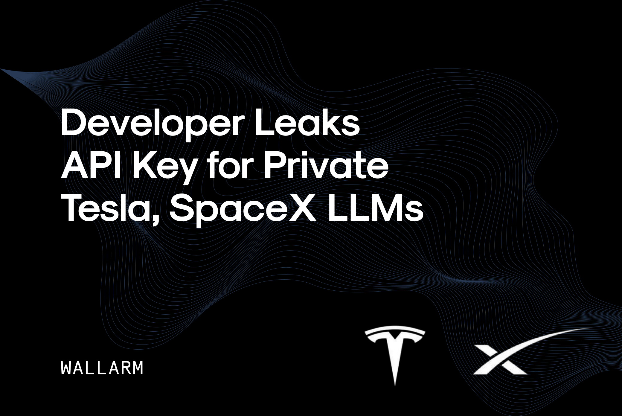 Developer Leaks API Key for Private Tesla, SpaceX LLMs — API Security