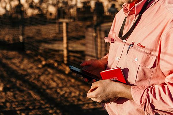 Elders to run final transformation waves in parallel