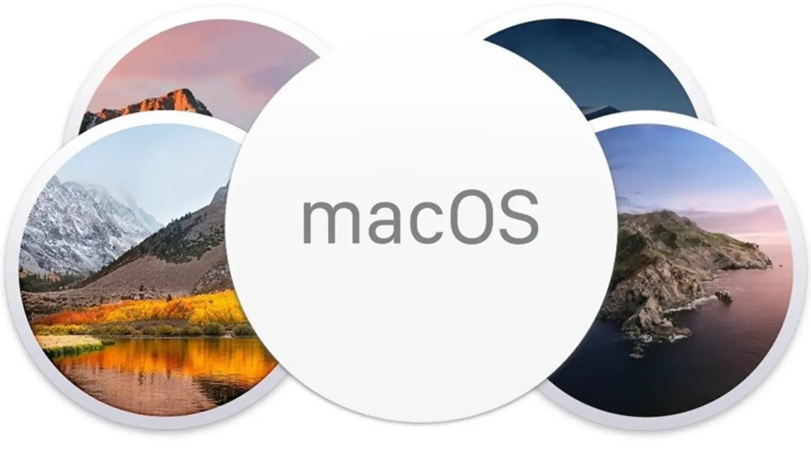 Over 2,800 Hacked Websites Targeting MacOS Users with AMOS Stealer Malware