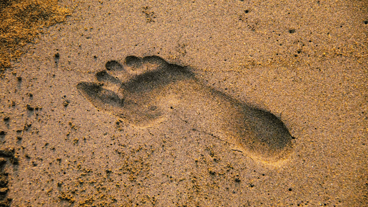 Footprint in the sand