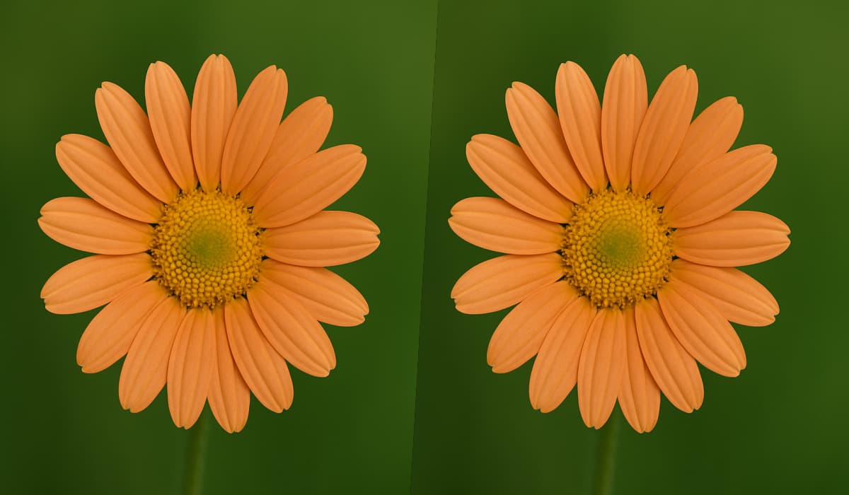 Ever tried resizing an image only to end up with a blurry, pixelated mess? Whether you’re adjusting a photo for a website, social media, or an email campaign, keeping your images sharp and professional is essential. But if you’ve worked with JPEG files, you’ve probably noticed how resizing can significantly impact quality. That’s where Pippit AI comes in, a powerful AI-driven tool that helps resize images while preserving their clarity. JPEG remains one of the most commonly used image formats due to its balance of quality and file size. However, it’s also a lossy format, meaning that every time you modify it, some image data gets discarded. This is why resizing JPEGs can result in lower-quality images. But don’t worry, there are ways to minimize quality loss and ensure your resized images look crisp and professional. Let’s explore why resizing affects JPEGs and how you can avoid common pitfalls. Why Does Resizing JPEG Affect Quality? Resizing an image might seem like a simple task, but when it comes to JPEGs, it’s a bit more complicated. Unlike vector graphics, which remain sharp at any size, JPEGs rely on pixel data, making them vulnerable to distortion when resized. Let’s break down the key reasons why quality drops when modifying a JPEG. Compression Artefacts: The Cause of Pixelation and Blurriness JPEG compression works by simplifying image data, removing subtle color variations, and grouping similar pixels. While this reduces file size, it also introduces compression artefacts, and visual distortions such as pixelation, blurring, and color banding. When a JPEG is resized, these artefacts become more pronounced, making the image look low-quality or “muddy.” For example, if you shrink a high-resolution JPEG to a small size and then enlarge it again, you’ll notice a significant drop in clarity. This happens because JPEG compression has already removed key details, and stretching the image back only amplifies the missing information. Lossy Compression Explained: Why JPEG Loses Data with Every Resize JPEG uses a lossy compression algorithm, meaning that each time a file is saved or resized, some image data is permanently lost. Unlike PNG or TIFF files, which preserve quality through lossless compression, JPEG reduces file size by discarding unnecessary details. Imagine making a photocopy of a photocopy, the more copies you make, the worse the quality gets. This is exactly what happens when you repeatedly resize a JPEG. Each adjustment results in slight quality degradation, leading to a loss of sharpness and color accuracy over time. Resizing vs. Scaling: The Key Difference Many people use the terms resizing and scaling interchangeably, but they are not the same. Resizing changes the image’s pixel dimensions (e.g., reducing a 2000x1500 image to 1000x750 pixels), which can lead to a loss of detail if not done correctly. Scaling maintains the aspect ratio while adjusting the image’s size, preserving more of the original details. When resizing a JPEG, it’s important to maintain the correct aspect ratio and avoid excessive downscaling, which can make the image look stretched or distorted. Repeated Resizing: Why It Makes Things Worse Every time you resize a JPEG, it undergoes another round of compression. If you resize an image multiple times, shrinking, enlarging, then resizing again, you’ll notice a compounding effect of quality loss. To prevent this, always work with the original high-resolution image and resize it only once to the required dimensions. If you need to make multiple adjustments, use a tool designed to minimize compression loss. How to Resize JPEG Images Without Losing Quality Now that we know why JPEGs lose quality when resized let’s discuss how to prevent it. By following these best practices, you can maintain sharp, high-quality images even after resizing. Use High-Quality Source Images The golden rule of image resizing: start with the highest resolution possible. A larger, high-quality image retains more details, making it easier to resize without noticeable degradation. If you begin with a low-resolution JPEG, any resizing will amplify quality issues. Choose the Right Tool for the Job Not all resizing tools are created equal. Basic image editors may simply stretch or shrink an image without accounting for quality loss. That’s why using an AI-powered resizer, like the resize of JPEG tool from Pippit AI, makes a difference. AI algorithms intelligently enhance images while resizing, preserving sharpness and reducing compression artefacts. Resize in Small Increments If you need to significantly change an image’s size, avoid drastic one-step resizing. Instead of shrinking an image from 3000px to 500px in one go, resize it in smaller steps to help maintain clarity. This approach prevents excessive pixelation and preserves details. Use Proper Resampling Methods Resampling determines how pixels are adjusted when resizing an image. Standard resizing methods can blur details, but advanced resampling techniques like Bicubic and Lanczos interpolation help maintain crisp edges and smooth gradients. AI-based tools automatically apply the best resampling method, ensuring top-quality results. Introducing Pippit AI: A Smart Solution for Resizing JPEGs Resizing images doesn’t have to be a frustrating process. Pippit AI simplifies it by using AI to enhance images while resizing, ensuring minimal loss of quality. Unlike traditional tools, which often produce blurry or pixelated results, Pippit AI’s innovative resizing features ensure sharp, professional-looking images every time. What Makes Pippit AI Stand Out? AI-Powered Resizing: Automatically optimizes images for the best quality. No Manual Adjustments Needed: Ensures perfect clarity with smart resampling. Multi-Platform Compatibility: Resize images for websites, social media, and digital ads effortlessly. 3 Easy Steps to Resize a JPEG Using Pippit AI Resizing images with Pippit AI is a quick, three-step process: Step 1: Upload Your Image Drag and drop your JPEG or select it from your files. The tool supports high-resolution images and automatically analyzes them for the best resizing approach. Step 2: Adjust Size with AI-Powered Controls Enter the desired dimensions, and the AI ensures the best balance between file size and quality. It automatically enhances sharpness and reduces artefacts, making the image look professional. Step 3: Export to High Quality Once resized, download your JPEG in the optimal resolution for web, social media, or email use. Pippit AI ensures the image remains sharp and clear, even after resizing. Conclusion Resizing JPEGs without losing quality requires more than just adjusting dimensions. It demands the proper techniques and tools. Since JPEGs use lossy compression, resizing them improperly can result in pixelation, blurring, and color loss. By following best practices like using high-quality source images, AI-powered resizing tools, and proper resampling methods, you can maintain sharp and vibrant images.