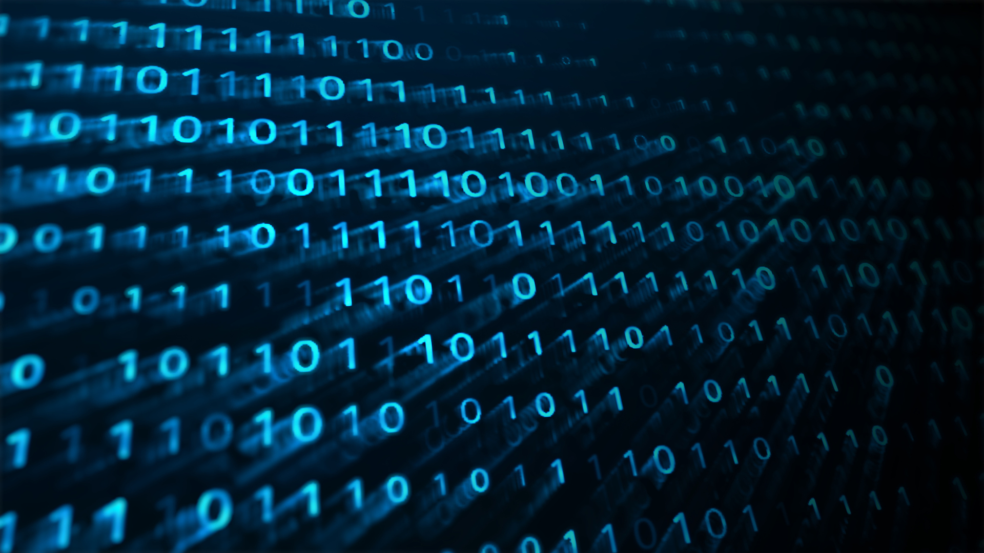 Dems want watchdog study of two troubled federally-funded vulnerability tracking initiatives