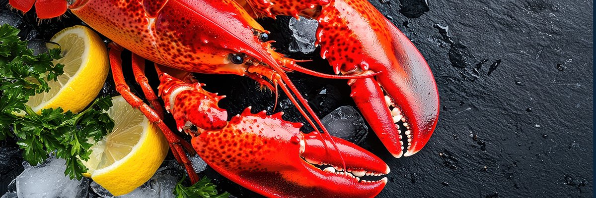 Restaurant fills DR gap with all-flash Pure and dodges higher cloud cost Restaurant fills DR gap with all-flash Pure and dodges higher cloud cost