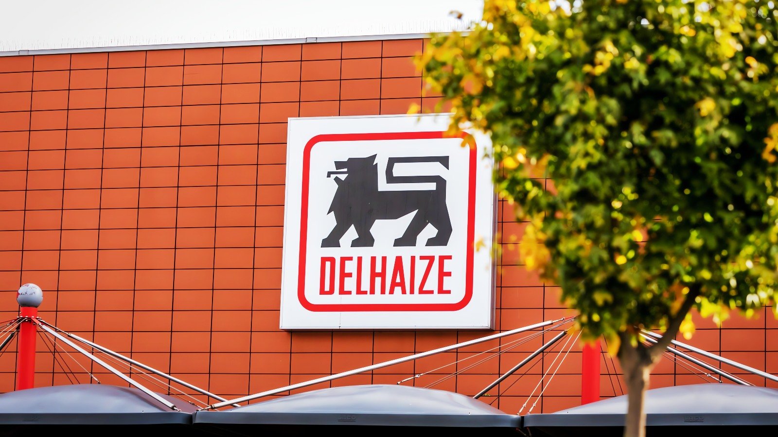 Ahold Delhaize