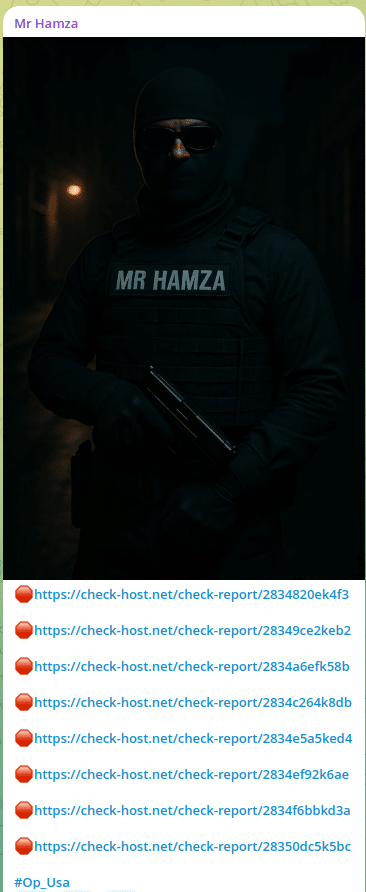 Mr Hamza claims U.S. DDoS attacks