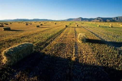 ABS cultivates new data sources to power its agriculture numbers