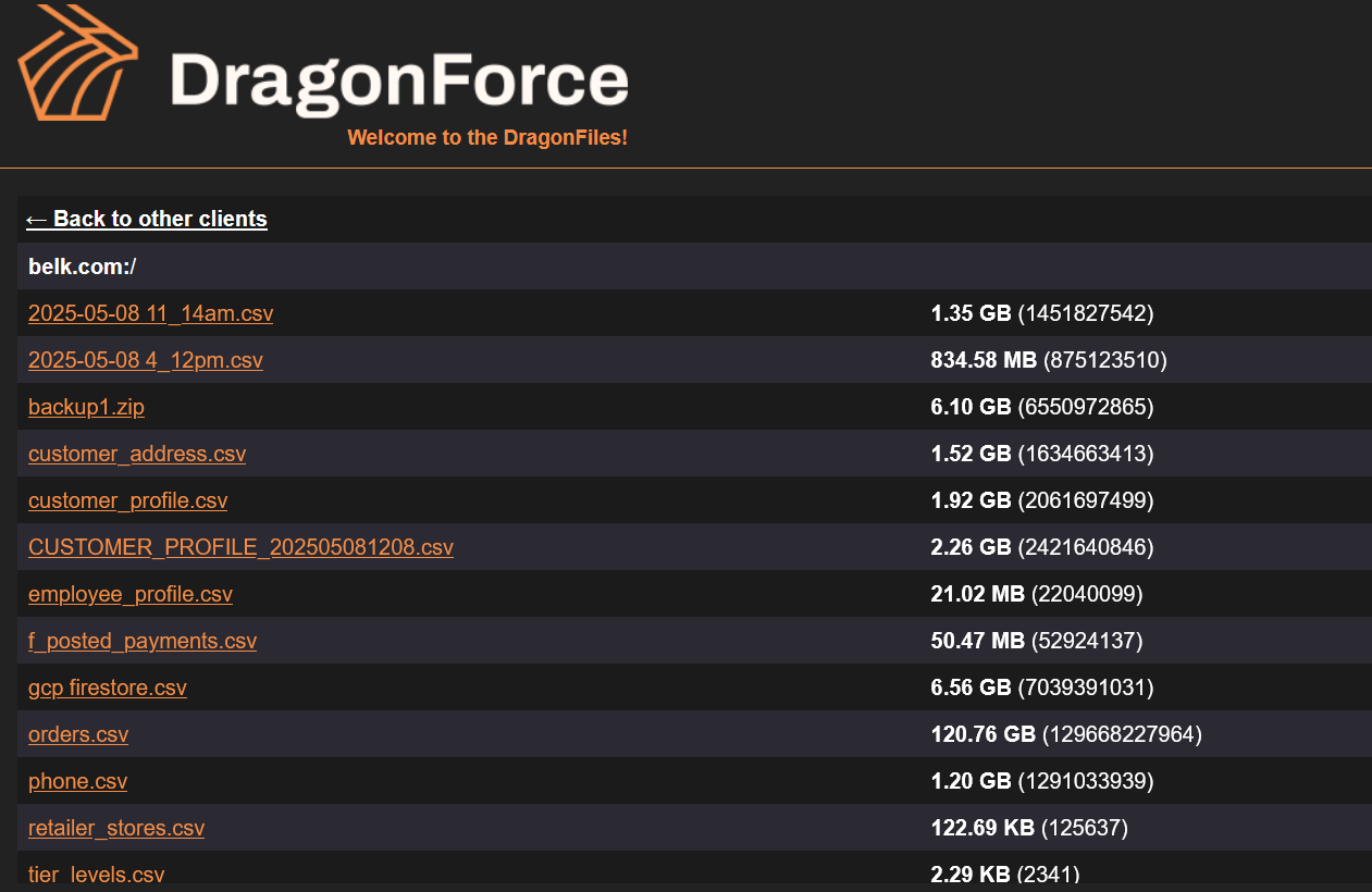 DragonForce stole 150GB of data