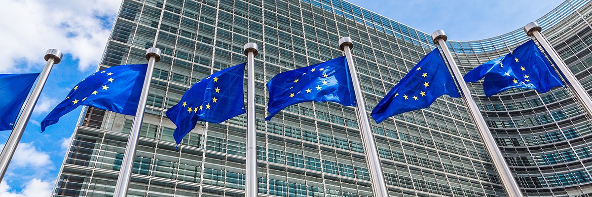 European Commission accused of rigging data watchdog appointment
