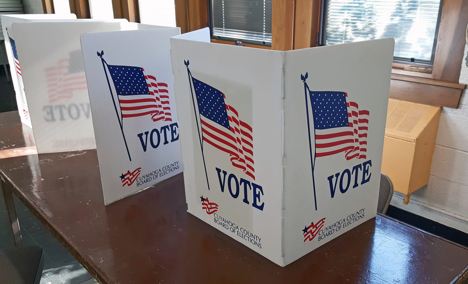 House Republicans endorse stricter state and federal-led voter roll purges despite dearth of evidence on fraud voting, election, polling, politics