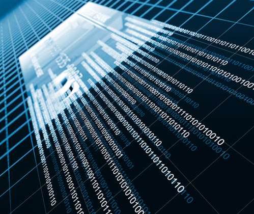 US senator wants Musk to block use of Starlink by financial fraud groups US senator wants Musk to block use of Starlink by financial fraud groups