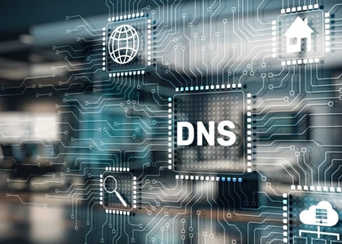 auDA grant issued to protect DNS auDA grant issued to protect DNS
