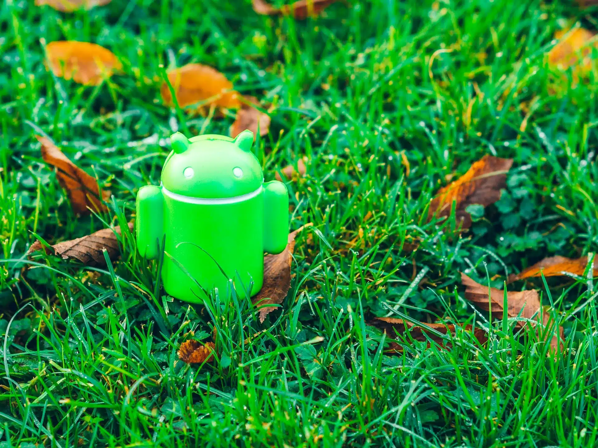 August 2025 Android Security Bulletin: Key Fixes Released