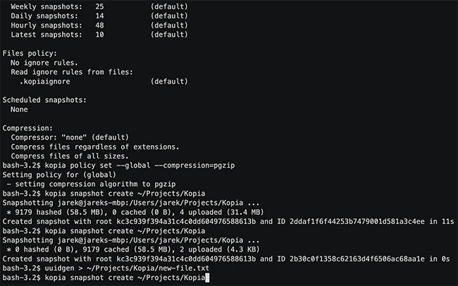 Kopia: Open-source encrypted backup tool for Windows, macOS, Linux