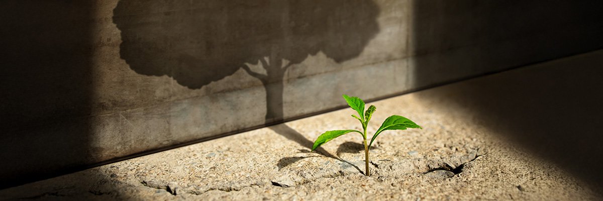 Meet the IT leader In Lebanon who became an IT entrepreneur