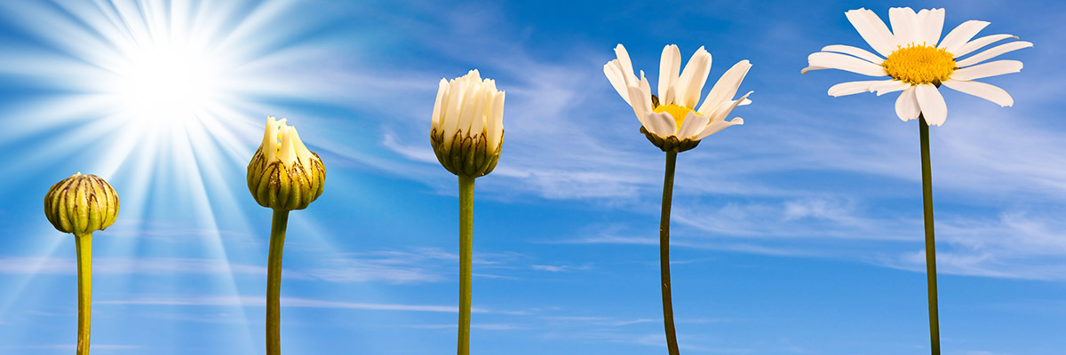 UK cyber action plan lays out path to resilience