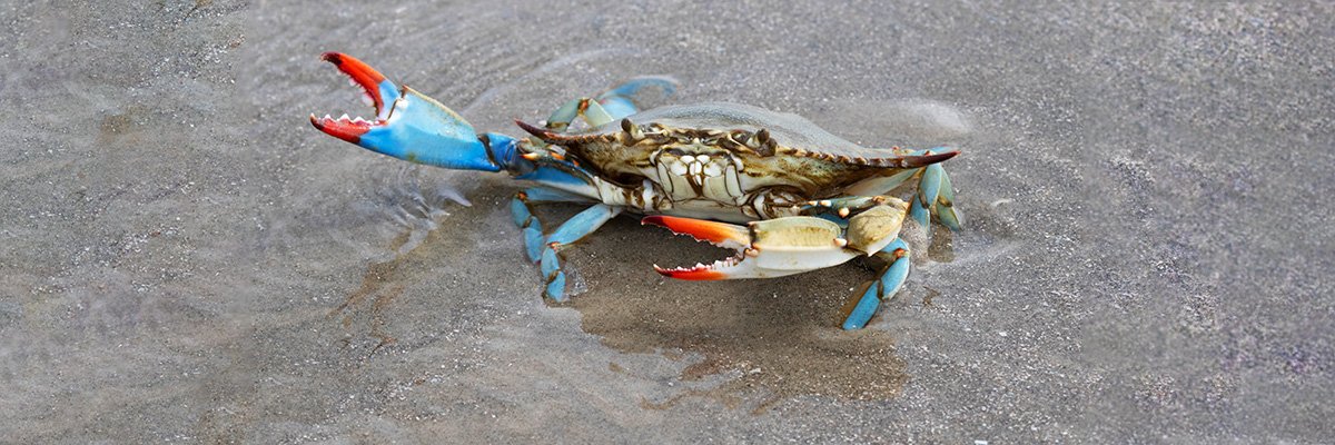 Amid CISA cuts, US state launches first VDP