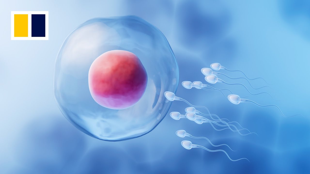 China moves to strengthen regulation of AI safety and ethics