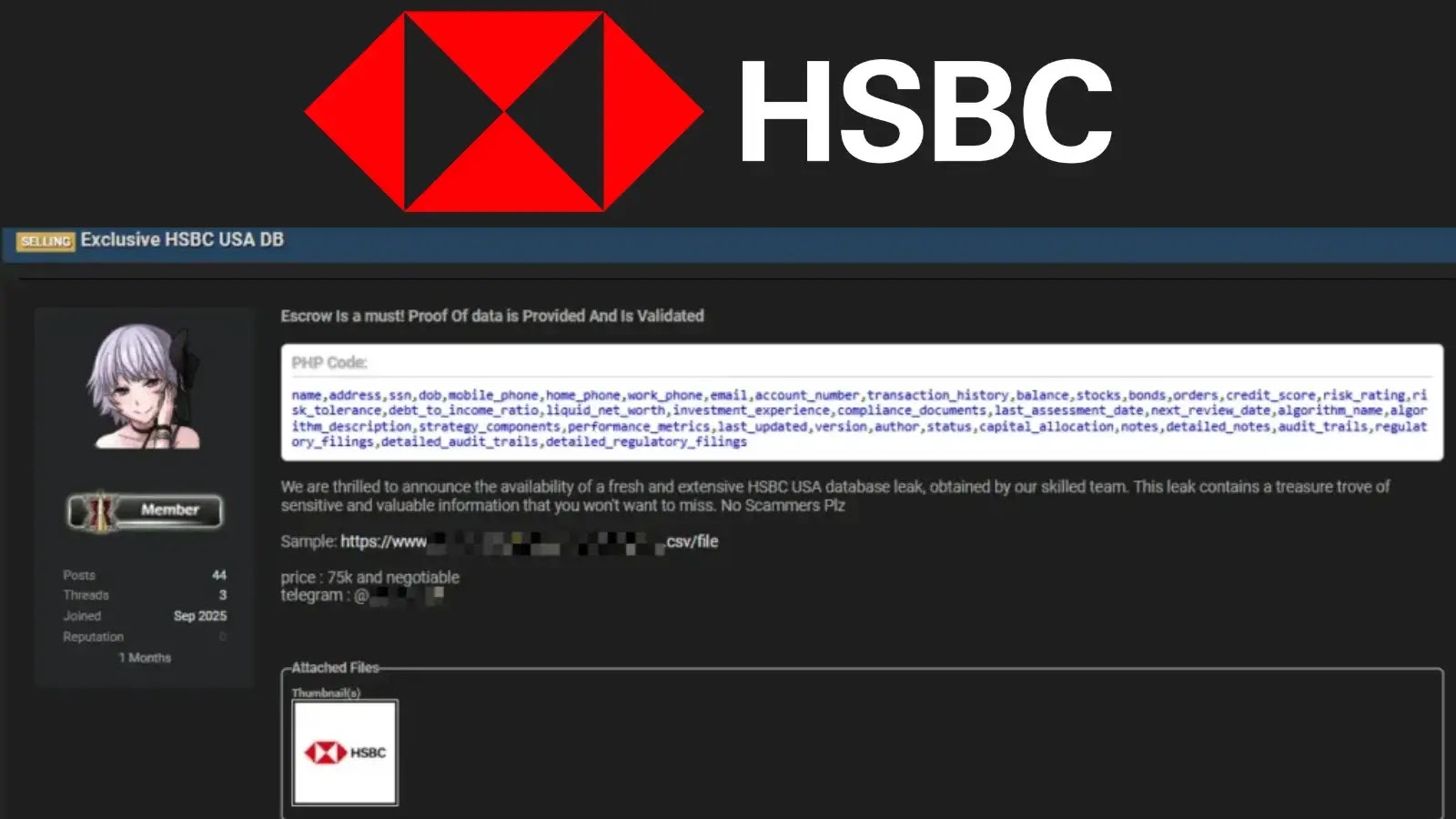 Hackers Allegedly Leak HSBC USA Customer and Financial Information