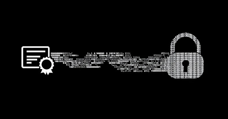 Microsoft Revokes 200 Fraudulent Certificates Used in Rhysida Ransomware Campaign Rhysida Ransomware Campaign