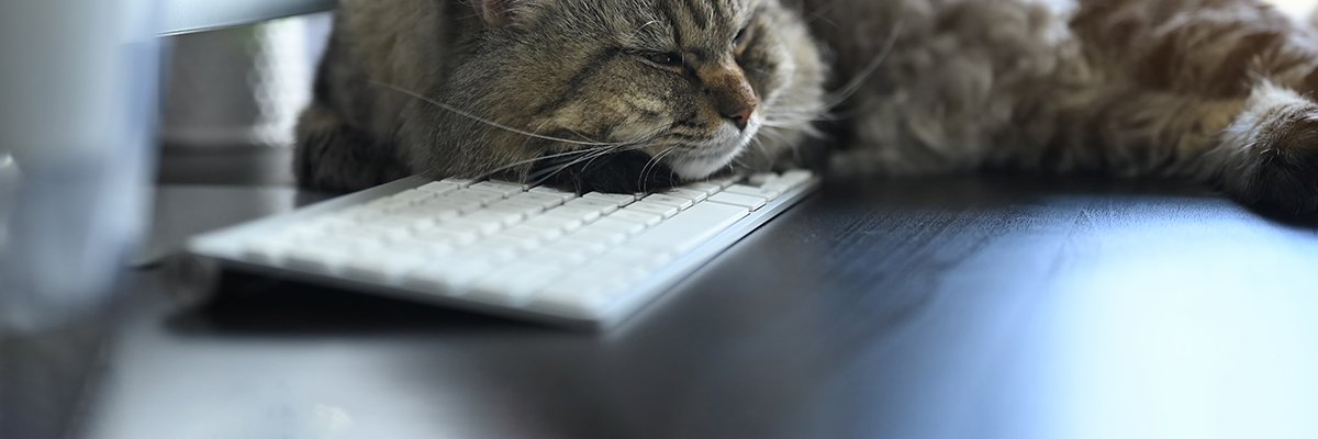 Pet insurers fuel AI take up in veterinary sector