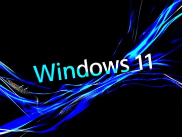Windows 11