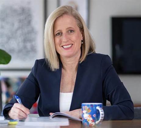 Gov reveals AI plan as Home Affairs pursues industry briefings