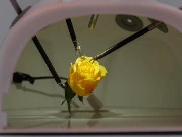 House GOP leaders seek government probe, restrictions on Chinese-made tech