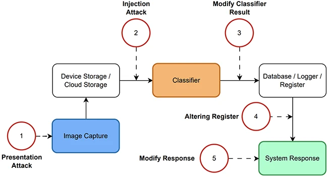 Research shows identity document checks are missing key signals