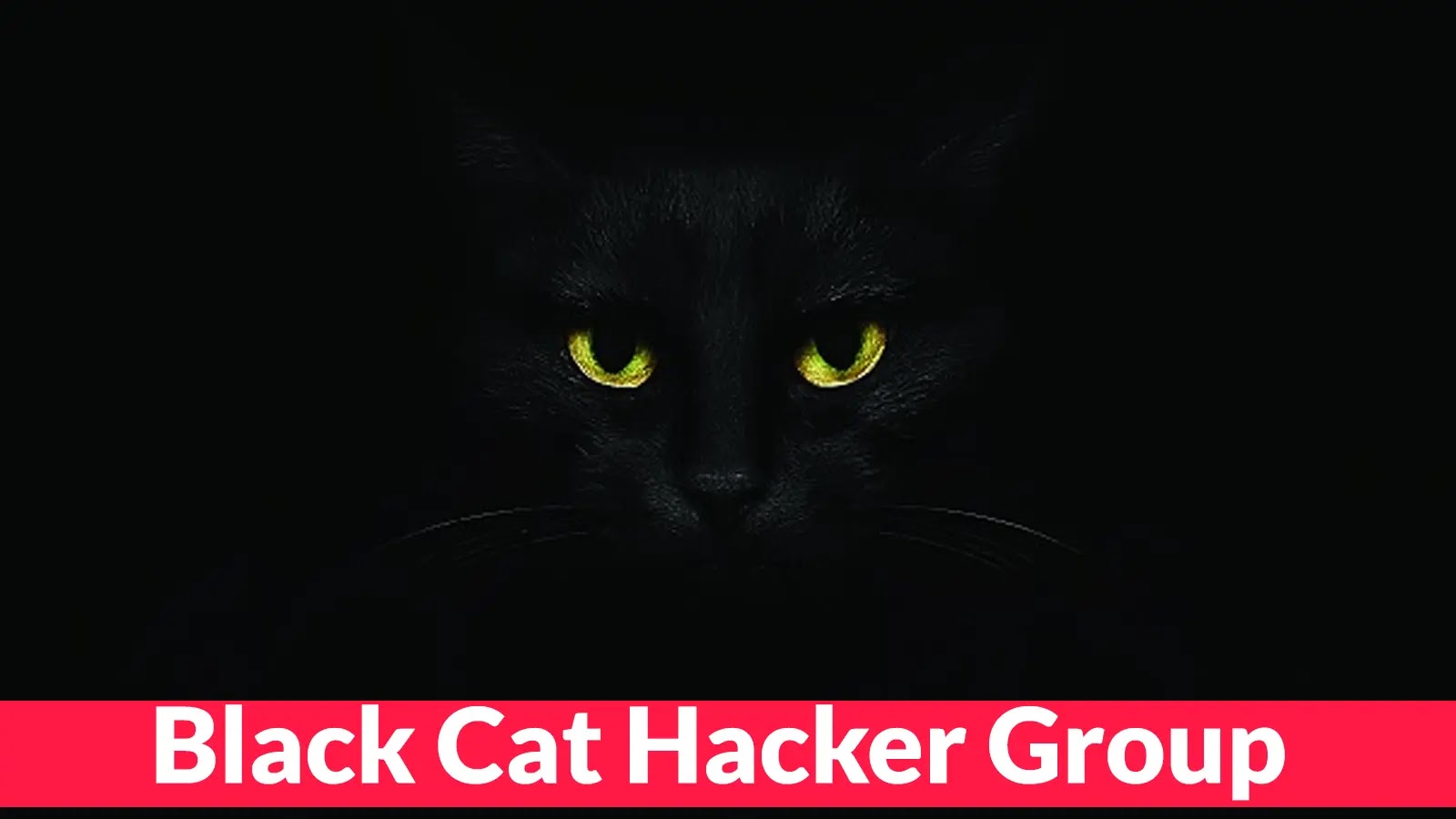 Black Cat Hacker Group with Fake Notepad++ Sites Install Malware to Steal Data