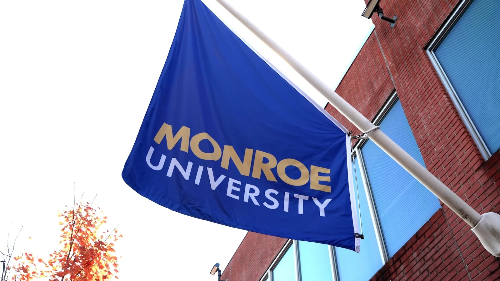 Monroe University