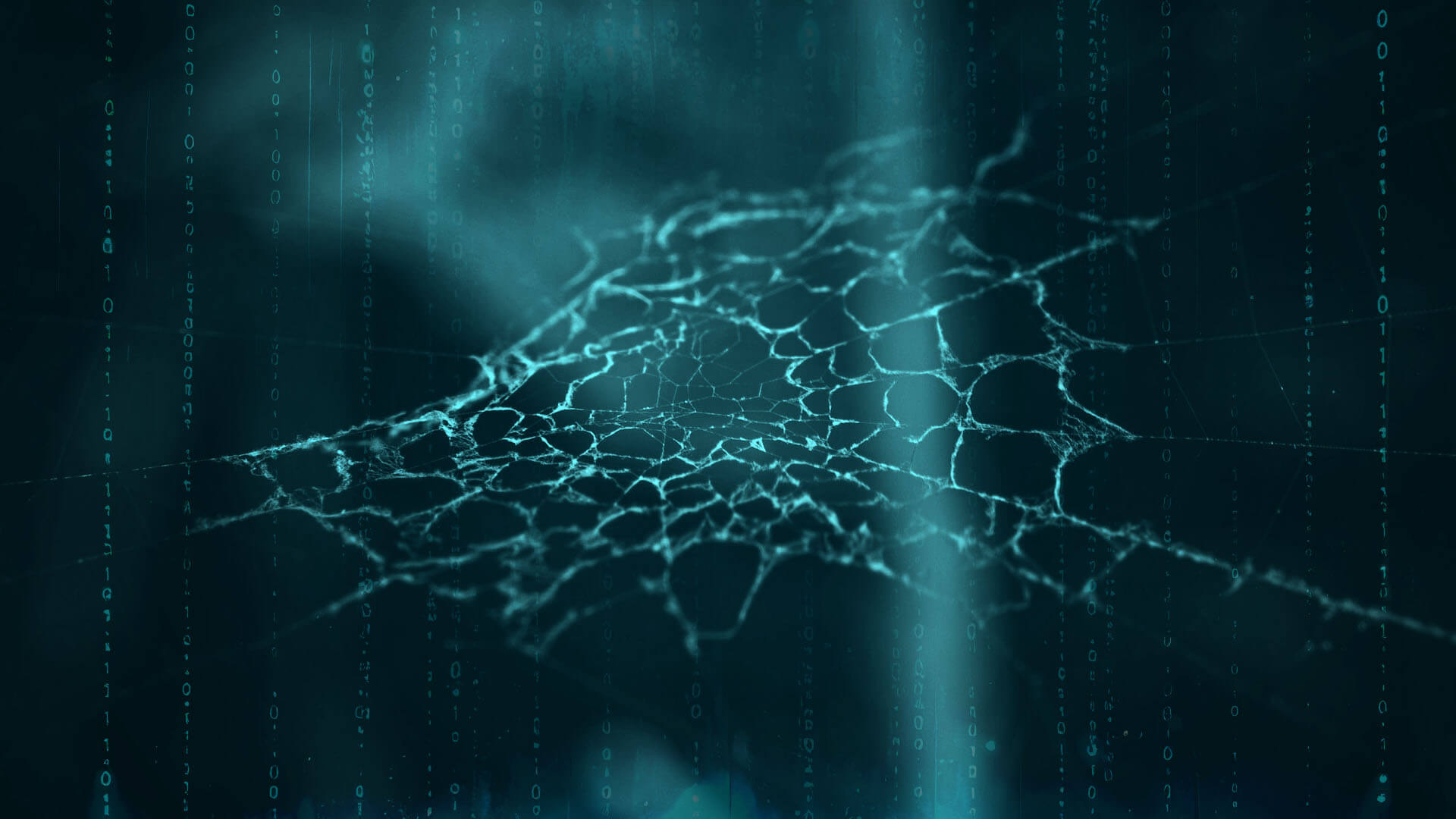 Your information is on the dark web. What happens next?