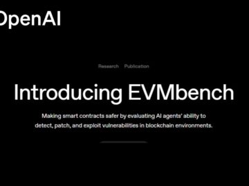 A New Framework to Detect and Exploit Blockchain Vulnerabilities