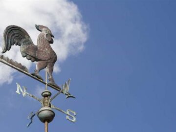 BoM reveals plan to fix website within six months