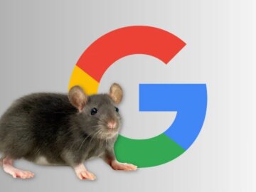 Google logo with a rat