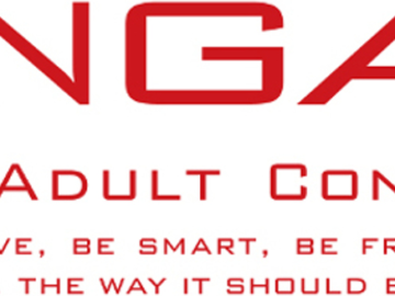 Japanese sex toys maker Tenga discloses data breach