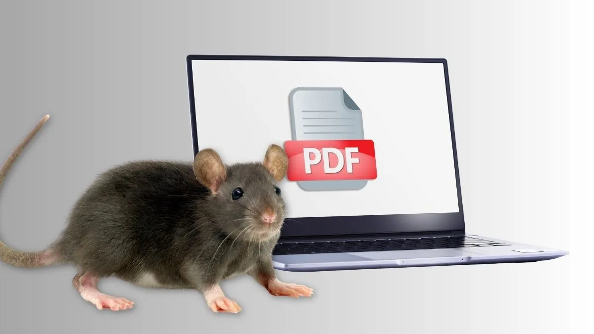 PDF and RAT