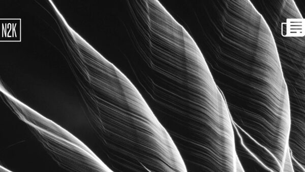 Pro-Iranian hackers claim cyberattack against Stryker.