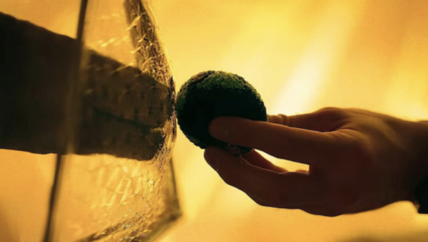 A puppet made me cry and all I got was this t-shirt