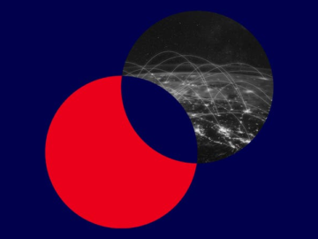 Network Intelligence: Your Questions, Global Answers