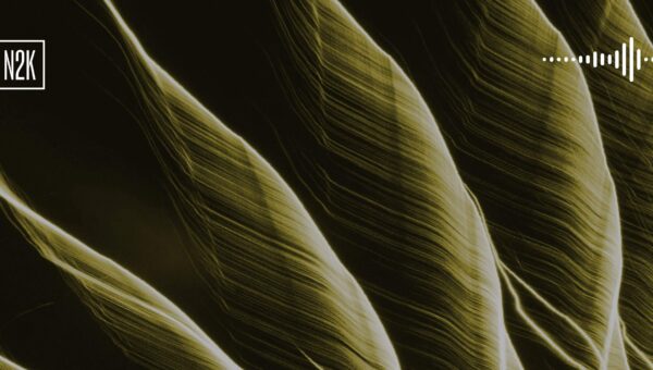 Oops, those were the FBI files.