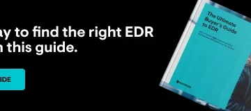 Securing Your Business: The Vital Role of Cyber Insurance