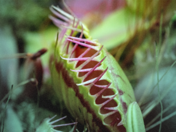 SolarWinds Web Help Desk Exploitation