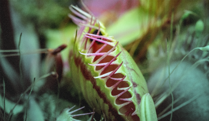 SolarWinds Web Help Desk Exploitation