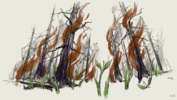 AI SaaS Replacement is the Fire of Fires