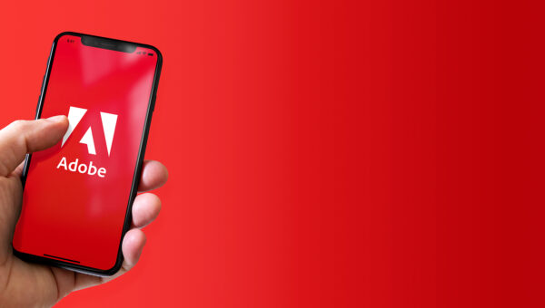 Adobe vulnerabilities