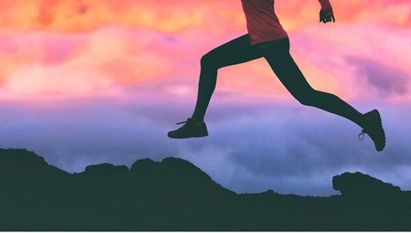 Digital twin of athlete’s heart to demonstrate future of healthcare