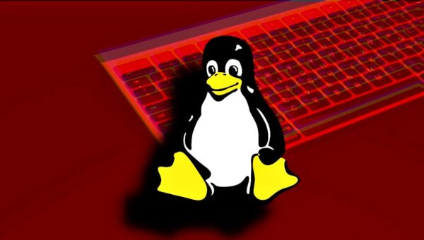 Harvester APT Expands Spying Operations with New GoGra Linux Malware