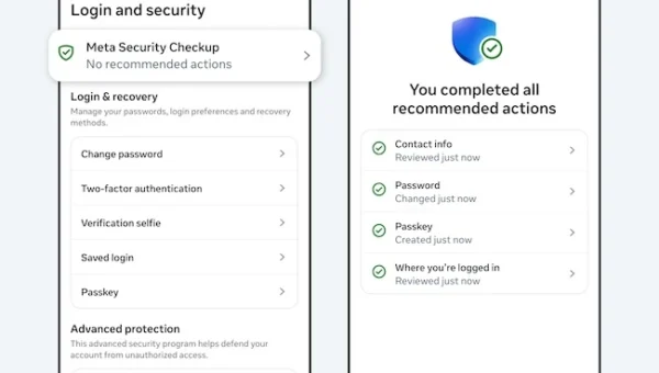 Meta Account overview.webp